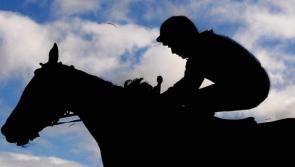 Point-to-point fixture in Askeaton on Sunday
