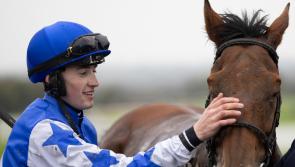 Limerick jockey Wesley Joyce continues rich vein of form on the track