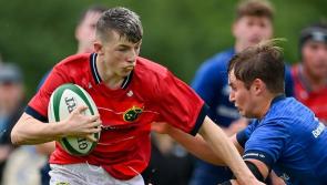 Limerick players named in Ireland U19 squad to face France U19s