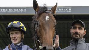 Ballingarry's Billy Lee in top form during memorable spell for Limerick jockeys