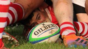 Limerick Club and Schools Rugby Fixtures - January 31 to February 8