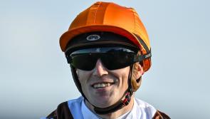 Limerick's Billy Lee leads Irish Flat Jockey Championship as season reaches climax