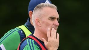 Limerick man appointed new Kerry senior camogie manager