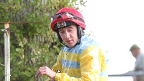 Limerick horse racing connections enjoying bumper spell on the track