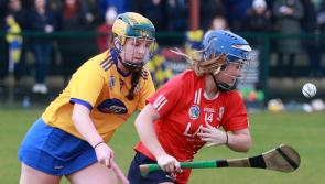 Clinical Monaleen power their way into Munster junior club camogie final