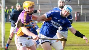 Limerick side Feenagh-Kilmeedy fall to heartbreaking loss in Munster club hurling final