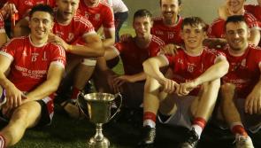 Monaleen celebrate Limerick County Cup hurling final victory over Ahane 