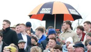 Under starter's orders for Day 2 of Limerick Christmas Racing Festival