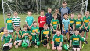 In Pictures: Local Limerick GAA club launch fundraiser in aid of pitch redevelopment