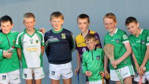 In Pictures:  Record numbers of supporters at Limerick club hurling championship matches