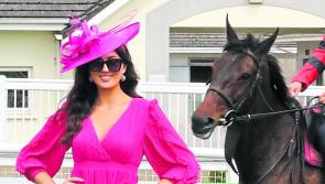 Limerick Racecourse unveils exciting summer programme 