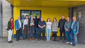 Review of healthcare in Limerick region ‘clinically-led’