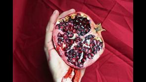 Off the Record! New Limerick exhibition aims to end stigma around menstruation