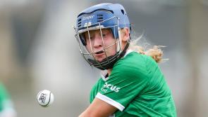 Spirited Limerick camogie side secure Division 1B status after crucial win over Offaly