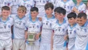 Limerick primary school celebrates outstanding haul of sports titles