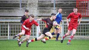 In Pictures: Fans celebrate as Árdscoil Rís reach quarter-finals of Junior Cup with Limerick derby win over Glenstal
