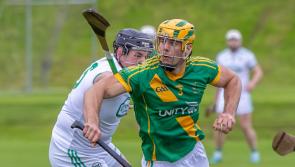 Kilmallock lead the way heading into Limerick SHC three-week break