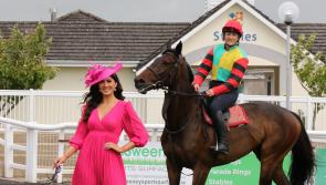 Limerick Racecourse unveils a ‘special’ summer schedule