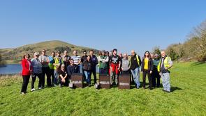 Limerick groups and business team up to install new bee habitats at Lough Gur 