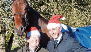 Limerick Racecourse gears up to host four-day Christmas Racing Festival