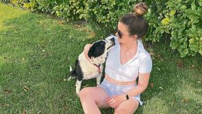 MeghannMix:  The greatest love story