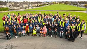 Registration open for Team Limerick Clean-Up's ninth event