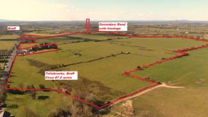 Three Limerick lands sales make over €1m in an hour