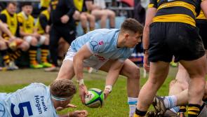 Limerick rugby clubs learn All-Ireland League fixtures for upcoming season 