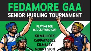 Fedamore to hold hurling tournament in honour of former GAA President