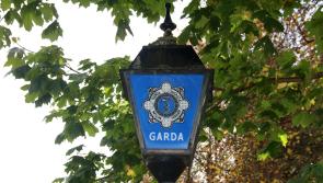 Gardai investigate overnight burglary at Limerick shop