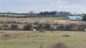 Developer gets permission to build 28 new homes in Limerick