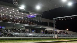 Pre-Christmas racing continues in Limerick Greyhound Stadium