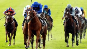 THE PUNTER'S EYE: Irish horses primed for glory on Britain's Guineas weekend 
