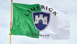 Ballylanders beat Pallasgreen in relegation playoff 