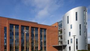  International academics to visit Limerick for short-term lecture series 