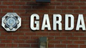 Man charged in connection with County Limerick burglary following 20-month investigation