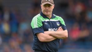 Anthony Daly to leave Limerick hurling academy role