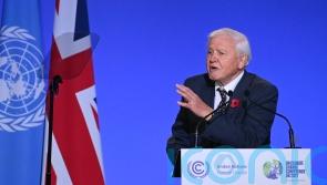 Sir David Attenborough stabbed by ‘dangerous’ cactus while filming new series
