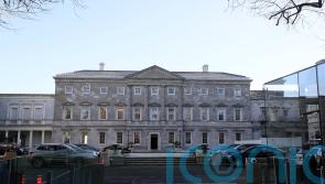 Assembly on gender equality calls for changes to Irish constitution