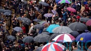 Round Up: Rain leaves Cheltenham heavy, and sinks hopes of Nicholls and Henderson