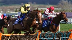 State Man proves different class in County Hurdle