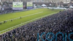 Bookmakers left reeling by Mullins and Blackmore