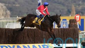 Last year's winner Clan Des Obeaux and Allaho headline Punchestown Gold Cup field