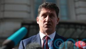 Green Party members defend ‘workable’ proposals amid turf ban row