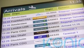 Dublin Airport spokesman admits 'mistakes were made' after queues cause significant delays