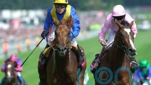 Fallon salutes Stoute and the ‘greatest training performance of all time’
