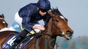 Tuesday leads four-strong Oaks raid for O’Brien