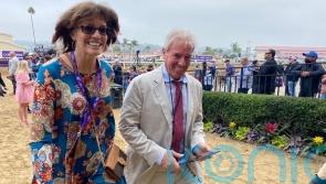 This is his year – Ward convinced Golden Pal can star at Royal meeting