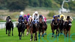 Nottingham celebrating Derby impact after Desert Crown’s Epsom strike