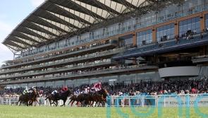 Sprinting big guns all set for King’s Stand showdown